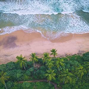 Beaches Fun in Sri Lanka