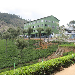Dodabetta Tea Factory & Museum